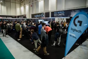 BMW Seria 5 echipare custom 1